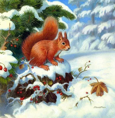 Как заяц зимой живет? Детям про животных. - YouTube