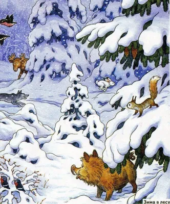 Как готовятся звери к зиме? Картинки для детей в садик и в школу.