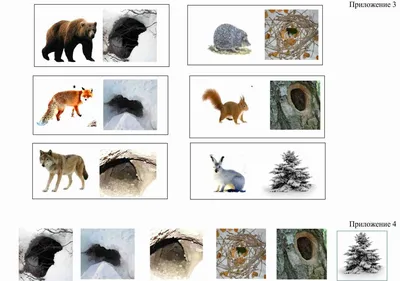 Рисунки детей животные зимой в лесу для детей (45 фото) » рисунки для  срисовки на Газ-квас.ком