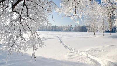 Открытки зима красивые - 70 фото