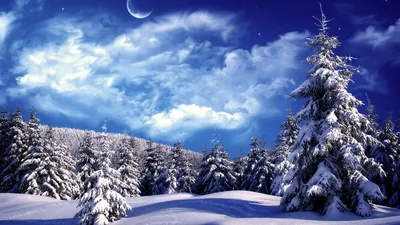 Зимний праздник - Живые обои с уютным зимним пейзажем