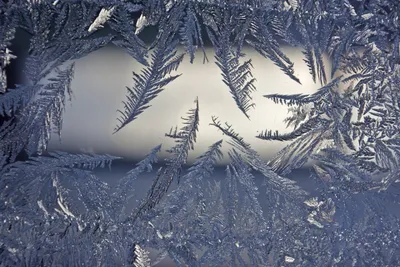 Снежные узоры на стекле (50 фото) - 50 фото