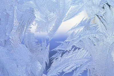 Зимние узоры на окне — это настоящее волшебство! — Ульяновский детский дом  Гнёздышко