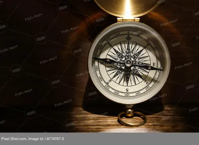 Золотой компас» Криса Вейтца | Belcanto.ru