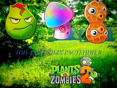 Plants vs. Zombies (@officialpvz) • Instagram photos and videos