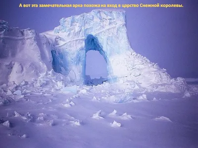 Природные зоны. Арктика. | ВКонтакте