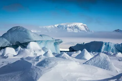 ЖИТЬ - СЕВЕР БЕЗ ГРАНИЦ В высоких северных широтах находится зона  арктических пустынь, зона вечного мороза. Границы ее, как и Арктики,  достаточно условны. Но всю эту морозную красоту называют «севером». Недаром  этим