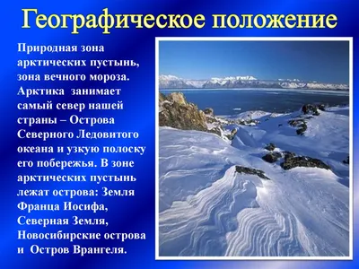 Шаг 1 – Зона арктических пустынь – Stepik