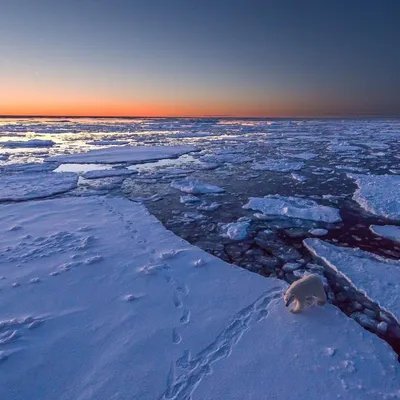 Арктические пустыни - красивые фото