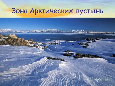 Зона арктических пустынь - 72 фото
