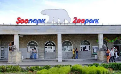 Зоопарк Алматы пополнился новыми животными - Аналитический интернет-журнал  Власть