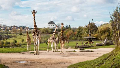 Московский зоопарк — Википедия
