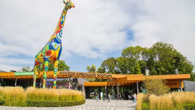 Зоопарк «Сказка» в Ялте: как добраться, описание, цены