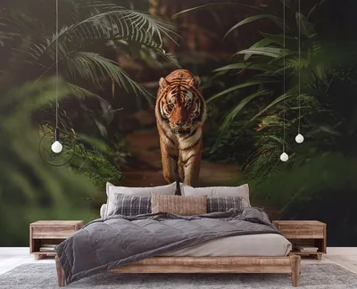Фотографии 3D тигры для телефона: выбирайте размер