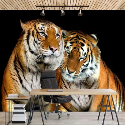 Уникальные обои 3D тигры для рабочего стола: скачивайте JPG