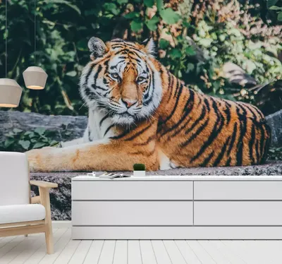 3D тигры: скачать бесплатно обои в формате WebP