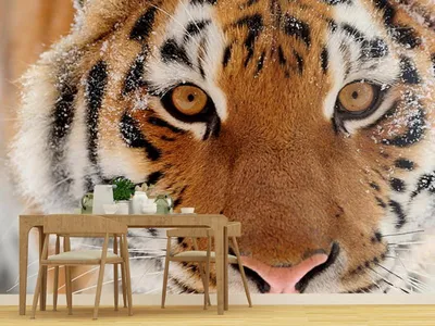 Фантастические обои 3D тигры для iPhone: бесплатно