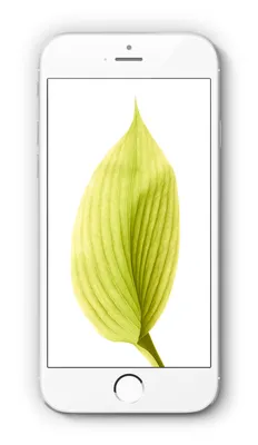 Айфон 5s: скачайте обои для iPhone и Android