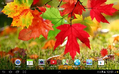 Андроид осень на рабочий стол: фон для Windows в хорошем качестве