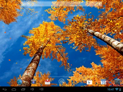 Андроид осень: бесплатные обои для Android