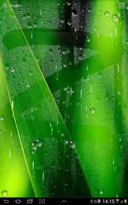 Обои на тему Анимированный дождь: Лучшие фоны для iPhone