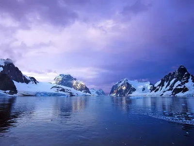 Обои Антарктиды в формате WebP: Современный холод на вашем экране