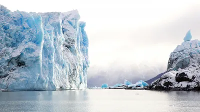 Антарктические обои на телефон: Замороженные краски на вашем гаджете