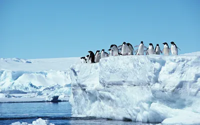 Фото Антарктиды в высоком разрешении: Зимний рай на вашем экране