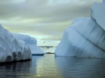 Скачать фото Антарктида в хорошем качестве: Ледяные моменты жизни