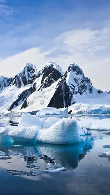 Скачать бесплатно фото Антарктиды: Магия льда в каждом пикселе