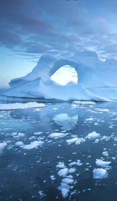 Антарктида в фото: Ледяные зарисовки на вашем экране