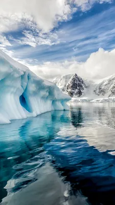 Фон Антарктиды: Подарите своему устройству зимнее обаяние