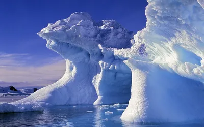 Скачать бесплатно обои Антарктида: Холодное вдохновение