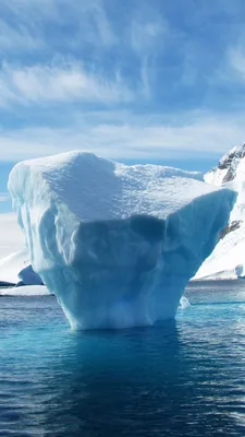Обои на iPhone Антарктида: Морозные моменты на вашем гаджете