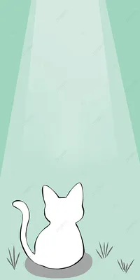 Обои с белой кошкой: бесплатное скачивание в png и jpg