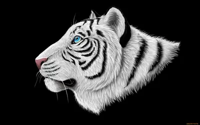 Белый тигр - невероятные фоновые изображения для Android