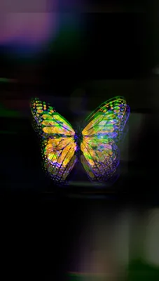 Butterfly-effect обои