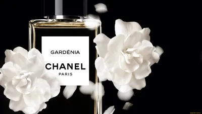 Chanel: Обои на телефон в формате PNG для прозрачного фона