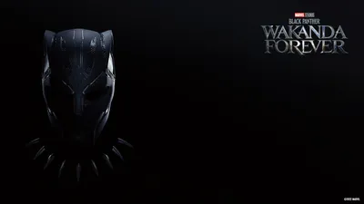 Почтите дух Ваканды с помощью обоев «Черная пантера: Ваканда навсегда» от Marvel Studios для мобильных телефонов и видеозвонков | Дисней Филиппины