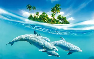 Дельфины на обоях для Android в формате png