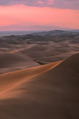 Коллекция Dune Wallpaper 4K — лучшие обои в Интернете, которые можно скачать бесплатно