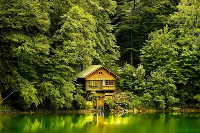 Фото домика в лесу в формате jpg для iPhone