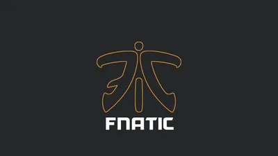 Обои Fnatic cs go: Скачай в хорошем качестве для Windows