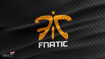 Фон для фанатов: Обои Fnatic cs go на телефон в формате PNG