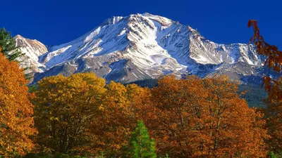Гора Шаста: Фоновые изображения в формате JPG