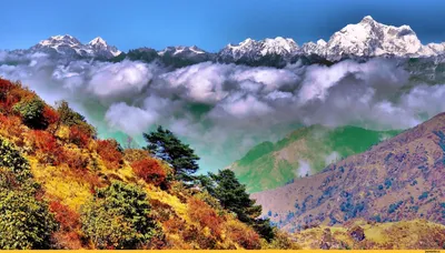 Обои Горы Гималаи для Телефона: Природа в WebP