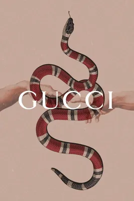 Gucci змея: обои на iPhone и Android в высоком разрешении