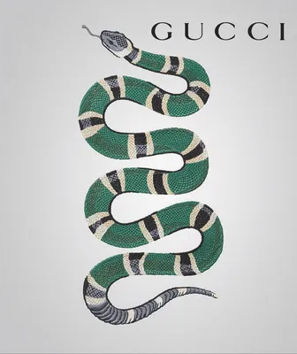 Бесплатные фото Gucci змеи: скачивай в различных размерах