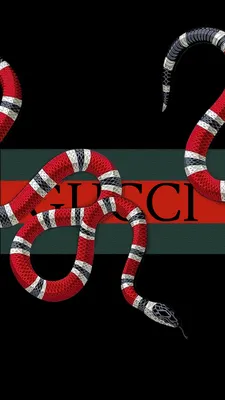 Gucci змея: скачивай обои бесплатно на Android