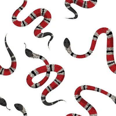 Скачай фотографии Gucci змеи в форматах JPG, PNG, WebP